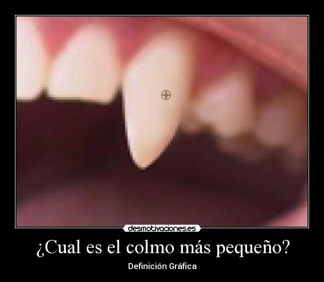 ¿Cual es el colmo más pequeño? - 