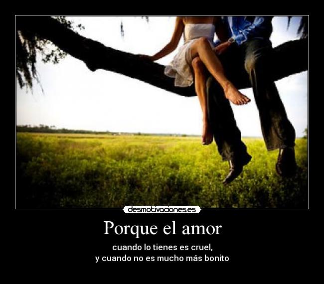 Porque el amor - 