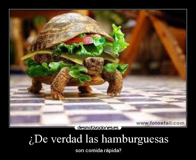 ¿De verdad las hamburguesas - 