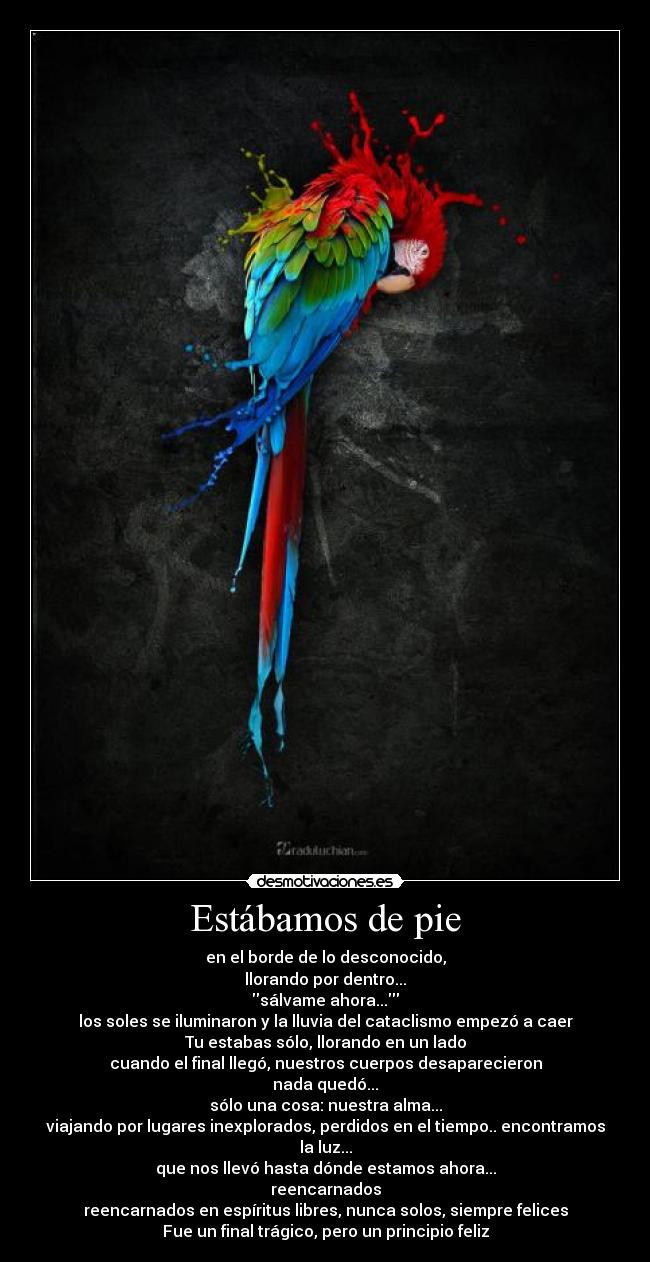 Estábamos de pie - en el borde de lo desconocido,
llorando por dentro...
sálvame ahora...
los soles se iluminaron y la lluvia del cataclismo empezó a caer
Tu estabas sólo, llorando en un lado
cuando el final llegó, nuestros cuerpos desaparecieron
nada quedó...
sólo una cosa: nuestra alma...
viajando por lugares inexplorados, perdidos en el tiempo.. encontramos la luz...
que nos llevó hasta dónde estamos ahora...
reencarnados
reencarnados en espíritus libres, nunca solos, siempre felices
Fue un final trágico, pero un principio feliz