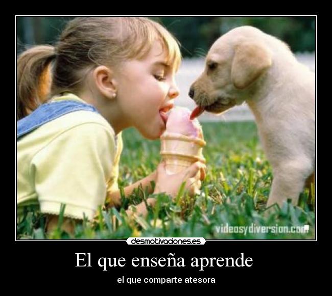 carteles perro nina helado desmotivaciones