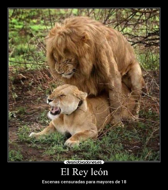El Rey león - Escenas censuradas para mayores de 18