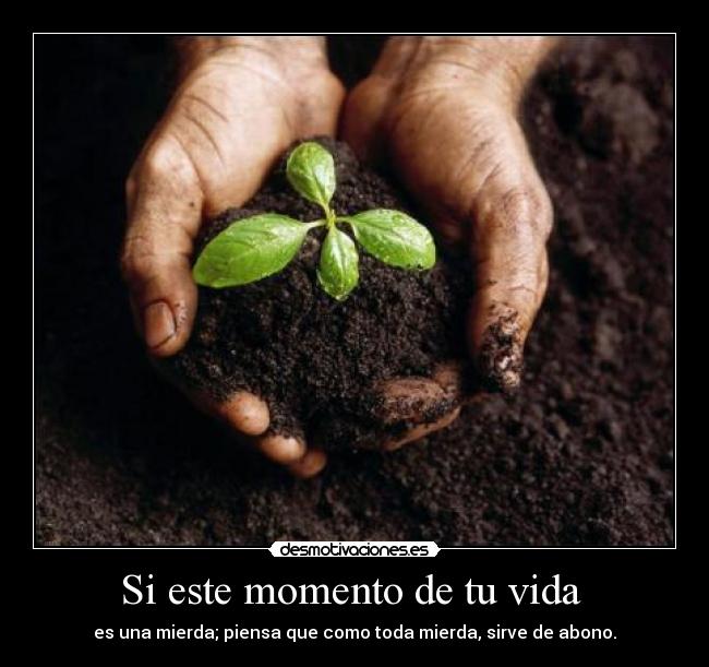 Si este momento de tu vida - es una mierda; piensa que como toda mierda, sirve de abono.