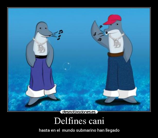 Delfines cani -