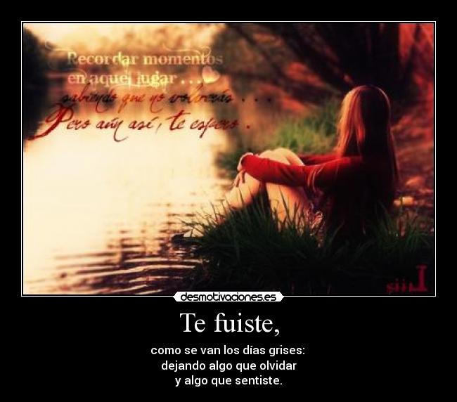 Te fuiste, -
