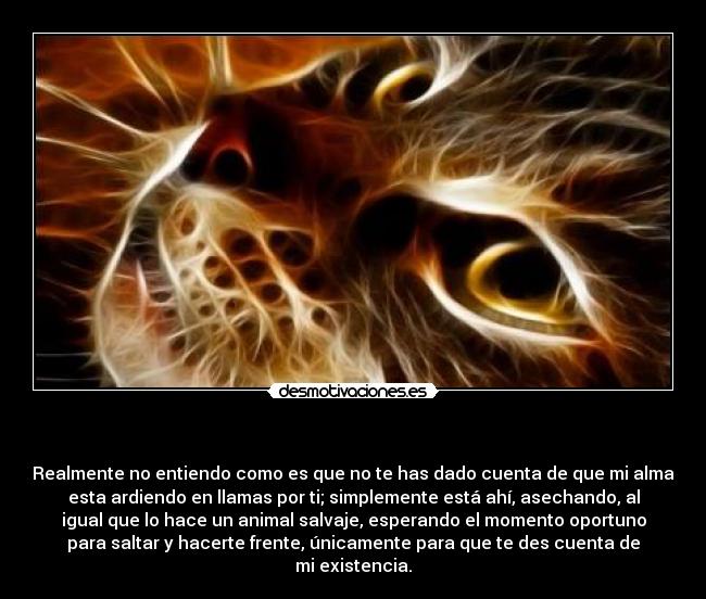   - Realmente no entiendo como es que no te has dado cuenta de que mi alma
esta ardiendo en llamas por ti; simplemente está ahí, asechando, al
igual que lo hace un animal salvaje, esperando el momento oportuno
para saltar y hacerte frente, únicamente para que te des cuenta de
mi existencia.