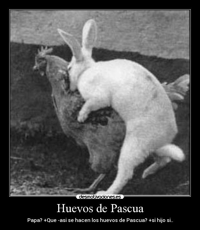Huevos de Pascua - Papa? +Que -asi se hacen los huevos de Pascua? +si hijo si..