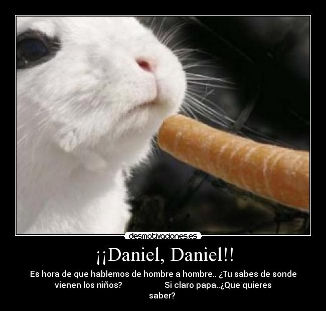 ¡¡Daniel, Daniel!! - Es hora de que hablemos de hombre a hombre.. ¿Tu sabes de sonde
vienen los niños?                     Si claro papa..¿Que quieres
saber? 