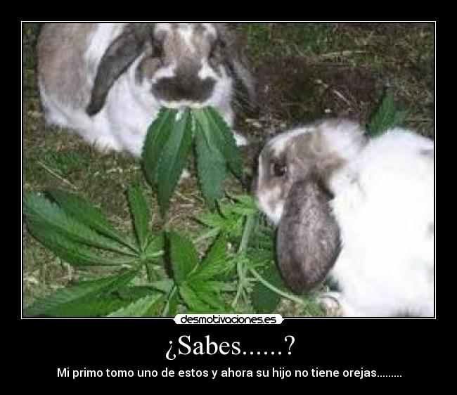 ¿Sabes......? - 