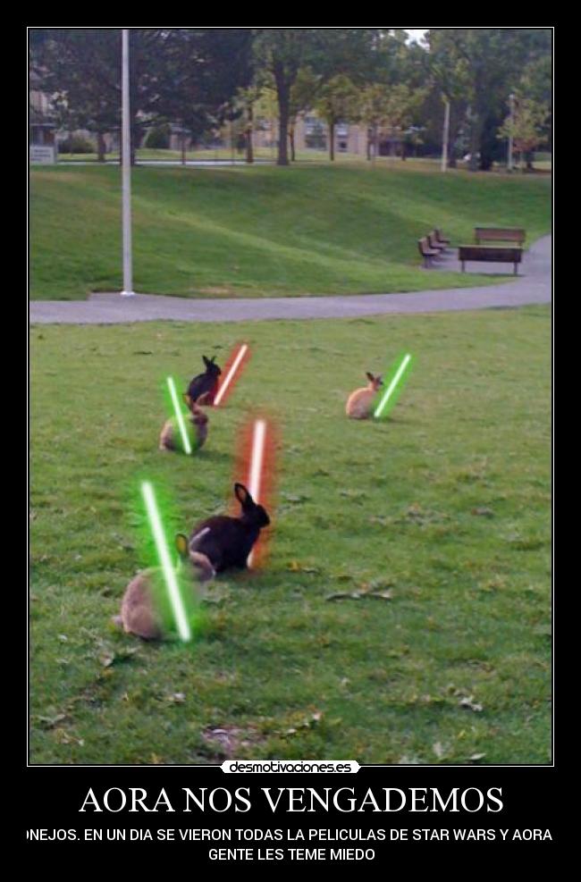 AORA NOS VENGADEMOS - 