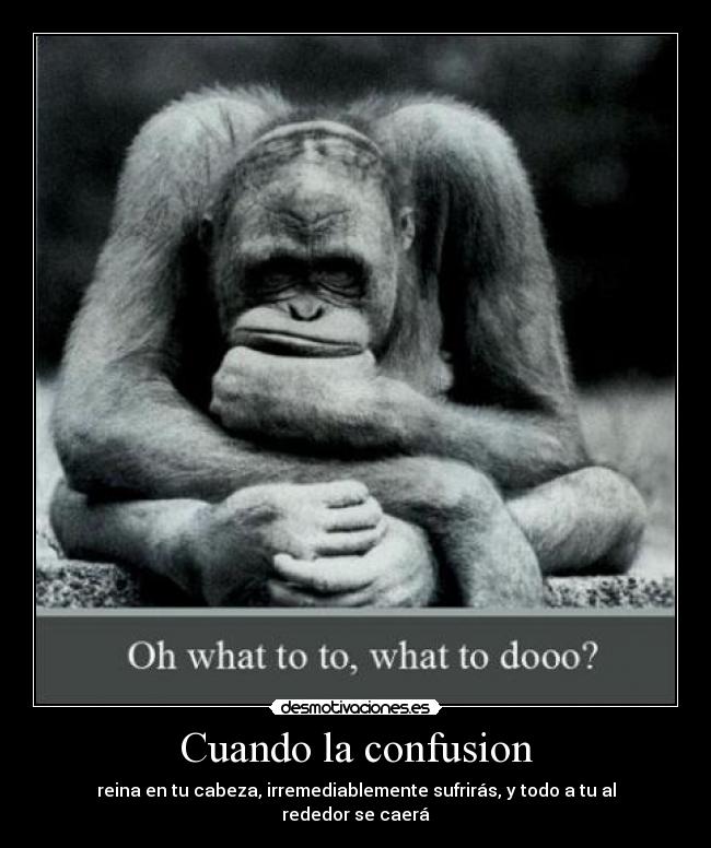 Cuando la confusion - reina en tu cabeza, irremediablemente sufrirás, y todo a tu al rededor se caerá