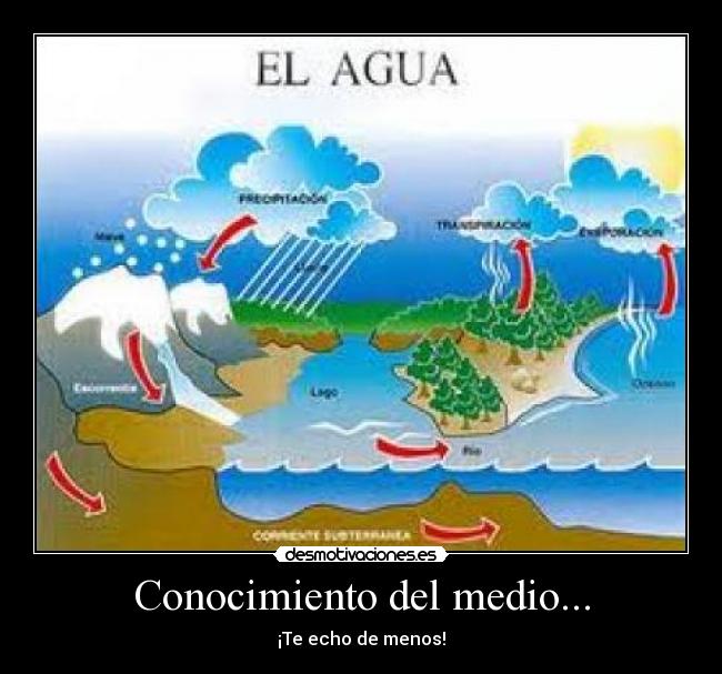 Conocimiento del medio... - ¡Te echo de menos!