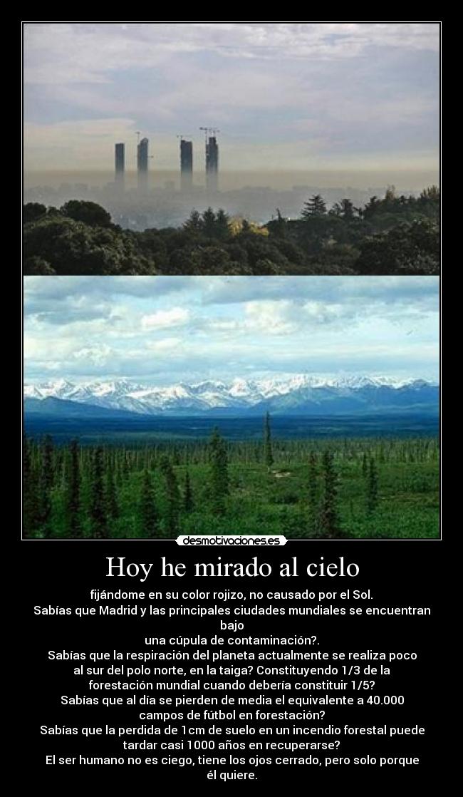Hoy he mirado al cielo - fijándome en su color rojizo, no causado por el Sol.
Sabías que Madrid y las principales ciudades mundiales se encuentran
bajo
una cúpula de contaminación?.
Sabías que la respiración del planeta actualmente se realiza poco
al sur del polo norte, en la taiga? Constituyendo 1/3 de la
forestación mundial cuando debería constituir 1/5?
Sabías que al día se pierden de media el equivalente a 40.000
campos de fútbol en forestación?
Sabías que la perdida de 1cm de suelo en un incendio forestal puede
tardar casi 1000 años en recuperarse?
El ser humano no es ciego, tiene los ojos cerrado, pero solo porque
él quiere.