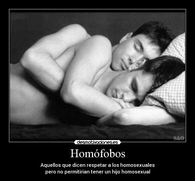 Homófobos - Aquellos que dicen respetar a los homosexuales
pero no permitirian tener un hijo homosexual