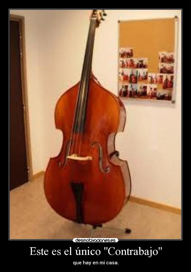 Este es el único Contrabajo -