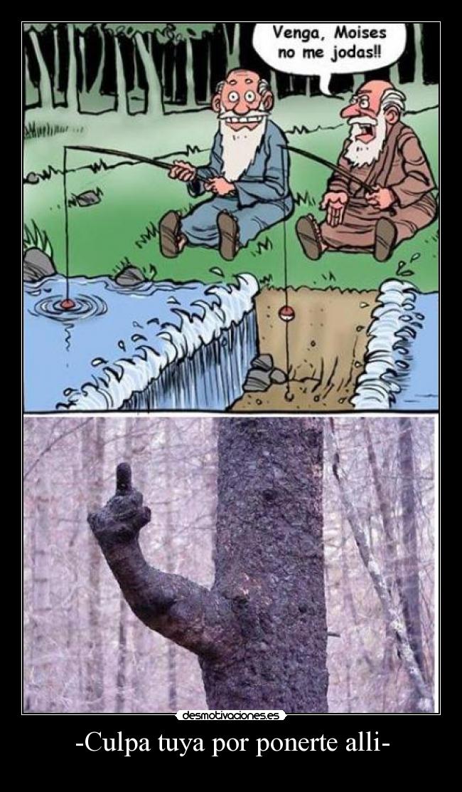 -Culpa tuya por ponerte alli- -