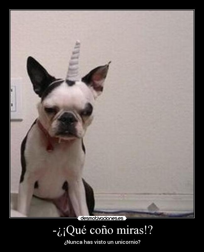 -¿¡Qué coño miras!? - 