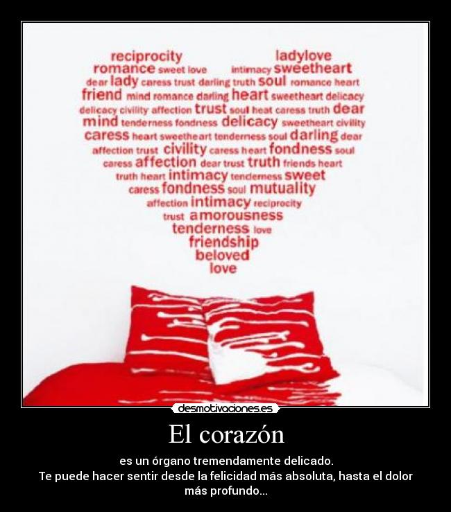 El corazón -