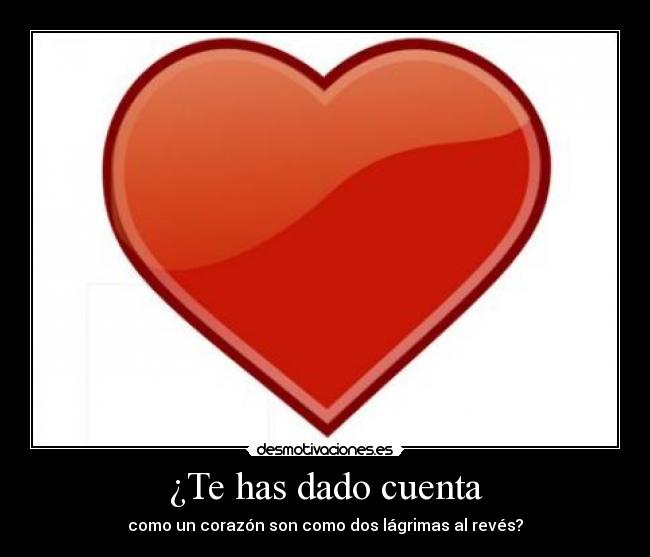 ¿Te has dado cuenta -