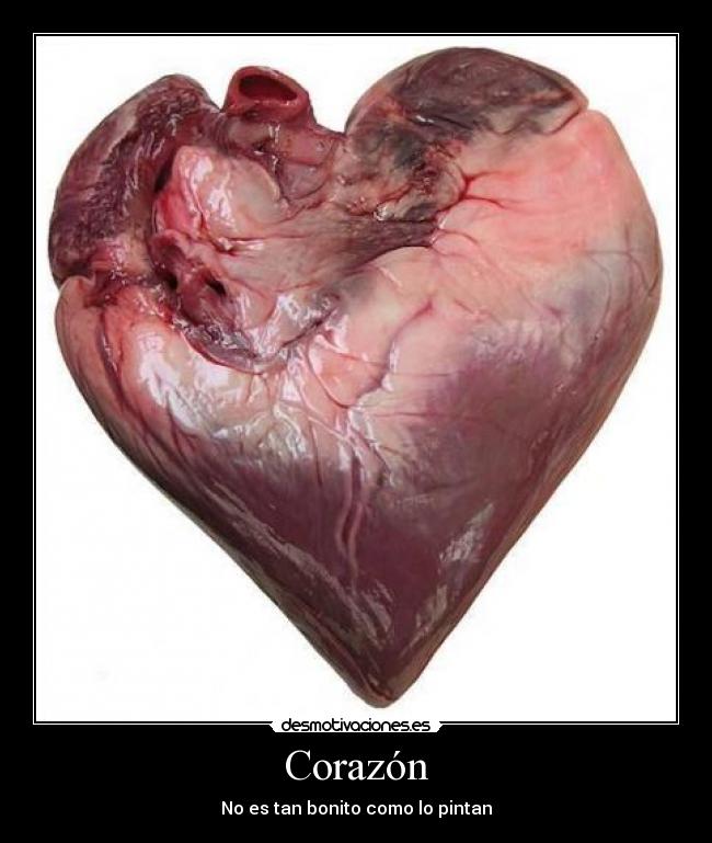 Corazón -