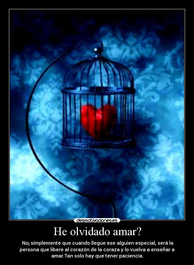 He olvidado amar? -