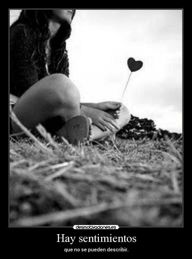 Hay sentimientos - 