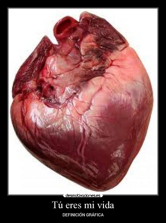 carteles vida coorazon desmotivaciones