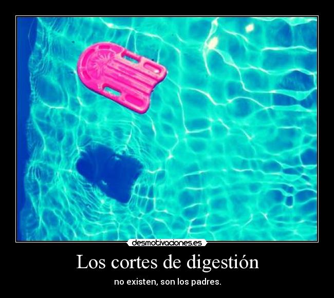 Los cortes de digestión - 
