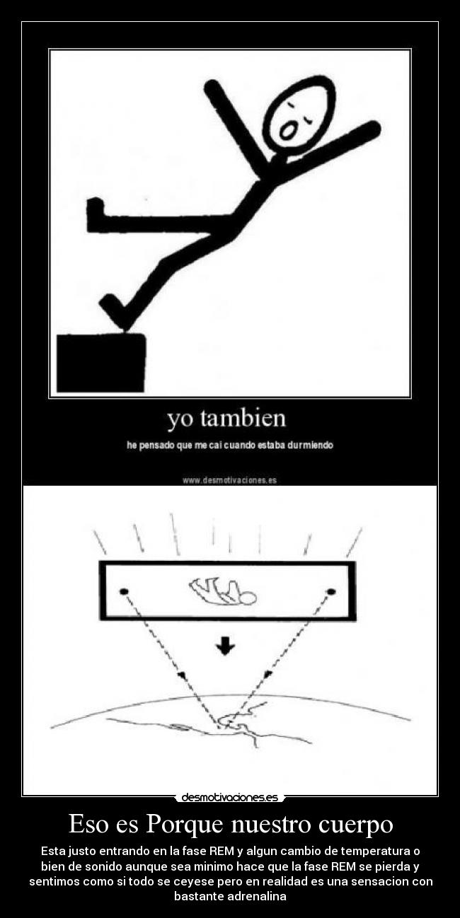 Eso es Porque nuestro cuerpo - Esta justo entrando en la fase REM y algun cambio de temperatura o
bien de sonido aunque sea minimo hace que la fase REM se pierda y
sentimos como si todo se ceyese pero en realidad es una sensacion con
bastante adrenalina