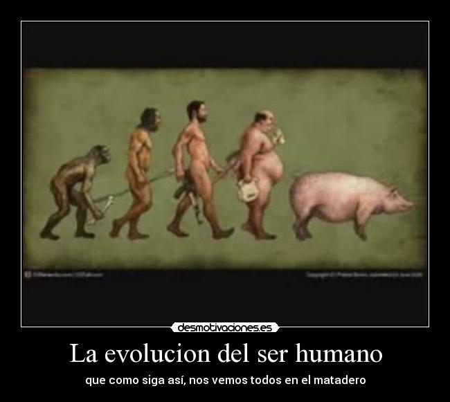 La evolucion del ser humano - 