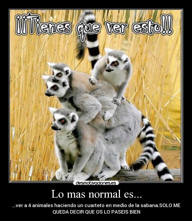 carteles  desmotivaciones