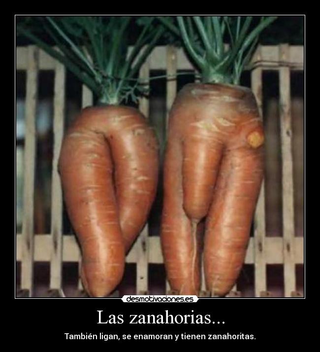 Las zanahorias... - 