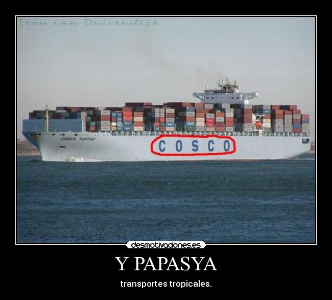Y PAPASYA -