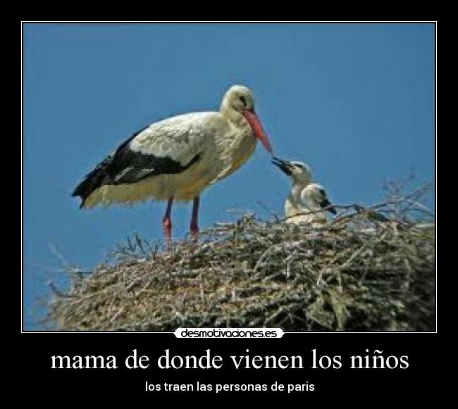 mama de donde vienen los niños - los traen las personas de paris