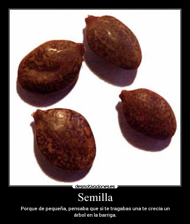 Semilla - Porque de pequeña, pensaba que si te tragabas una te crecía un árbol en la barriga.