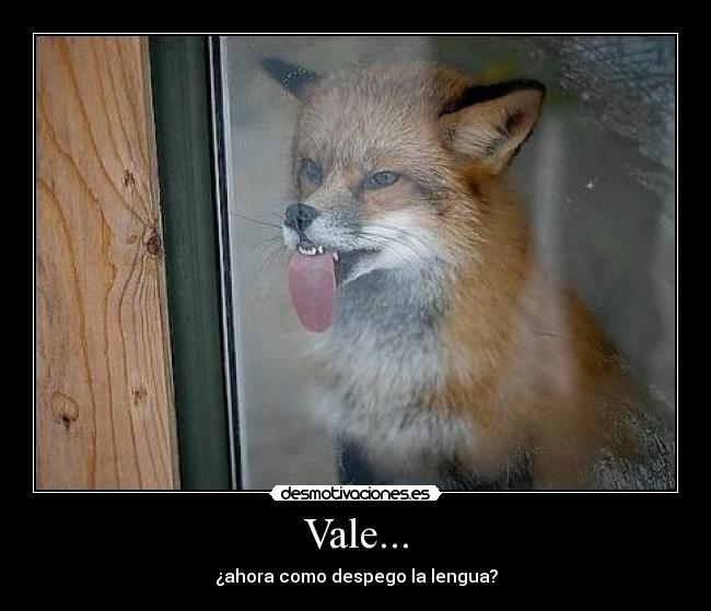Vale... - 