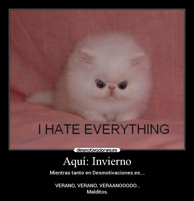 Aquí: Invierno - Mientras tanto en Desmotivaciones.es....
VERANO, VERANO, VERAANOOOOO...
Malditos.