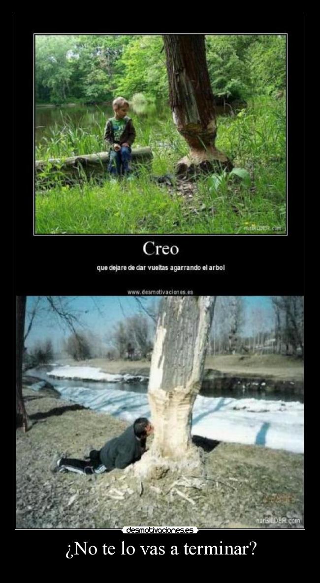 ¿No te lo vas a terminar? -
