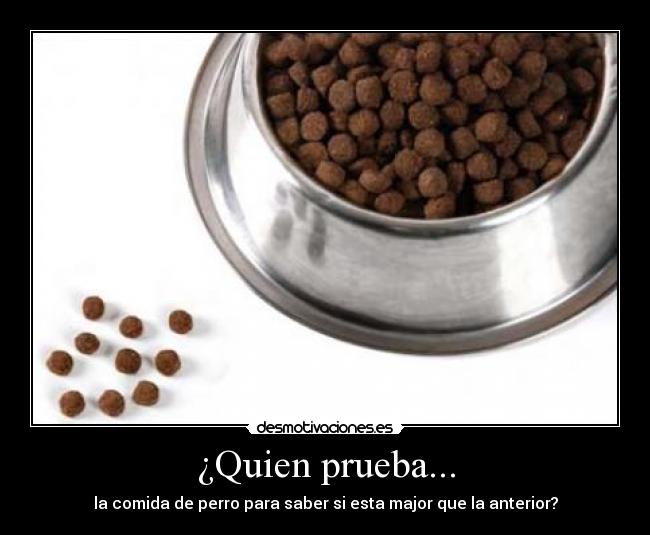 ¿Quien prueba... - la comida de perro para saber si esta major que la anterior?