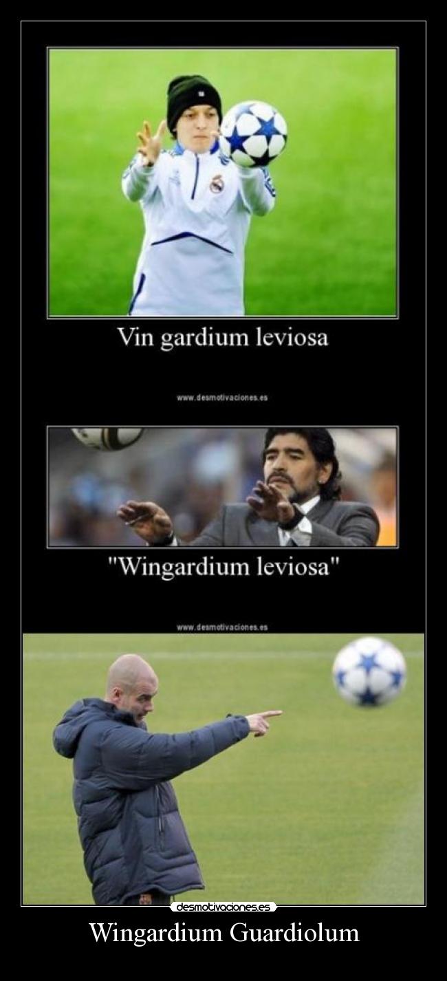 Wingardium Guardiolum - 