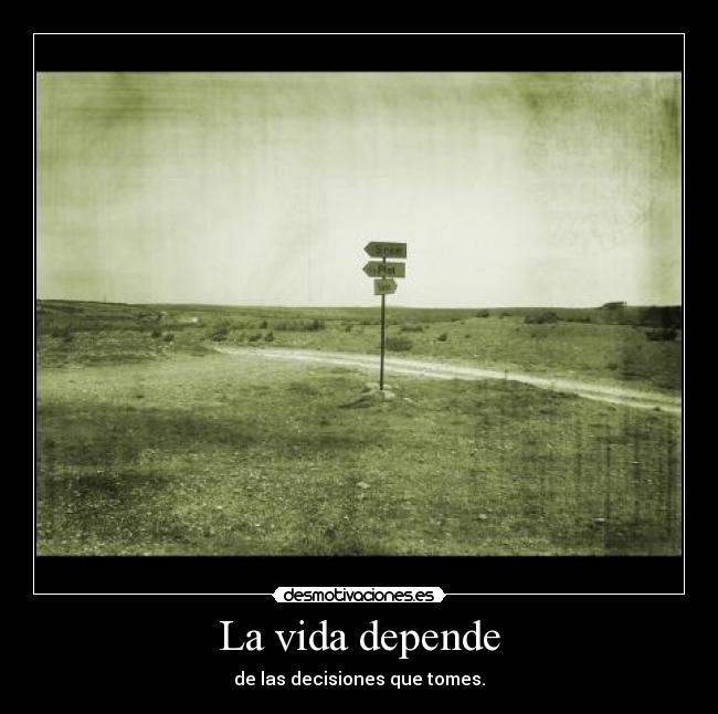 carteles vida decisiones desmotivaciones