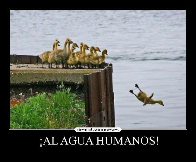 ¡AL AGUA HUMANOS! - 