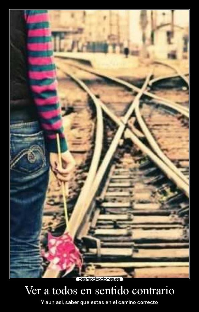 Ver a todos en sentido contrario - 