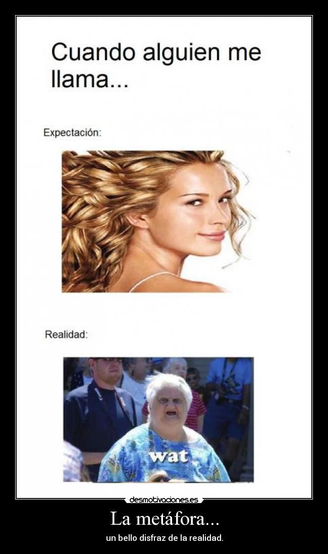 La metáfora... - un bello disfraz de la realidad.