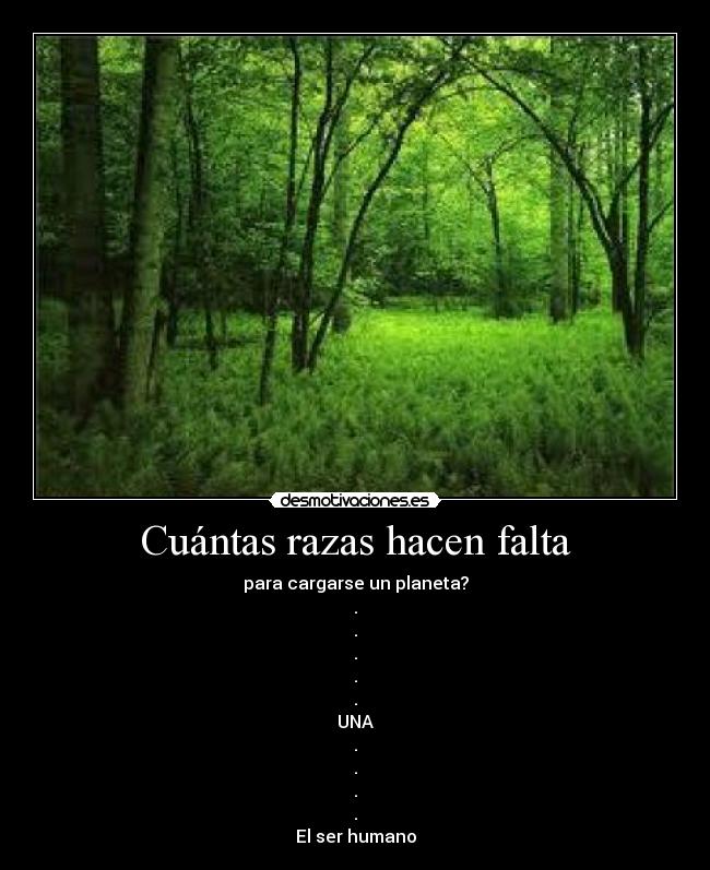 carteles kukua desmotivaciones desmotivaciones