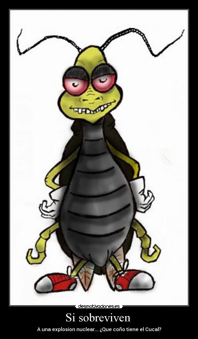 Si sobreviven  - 