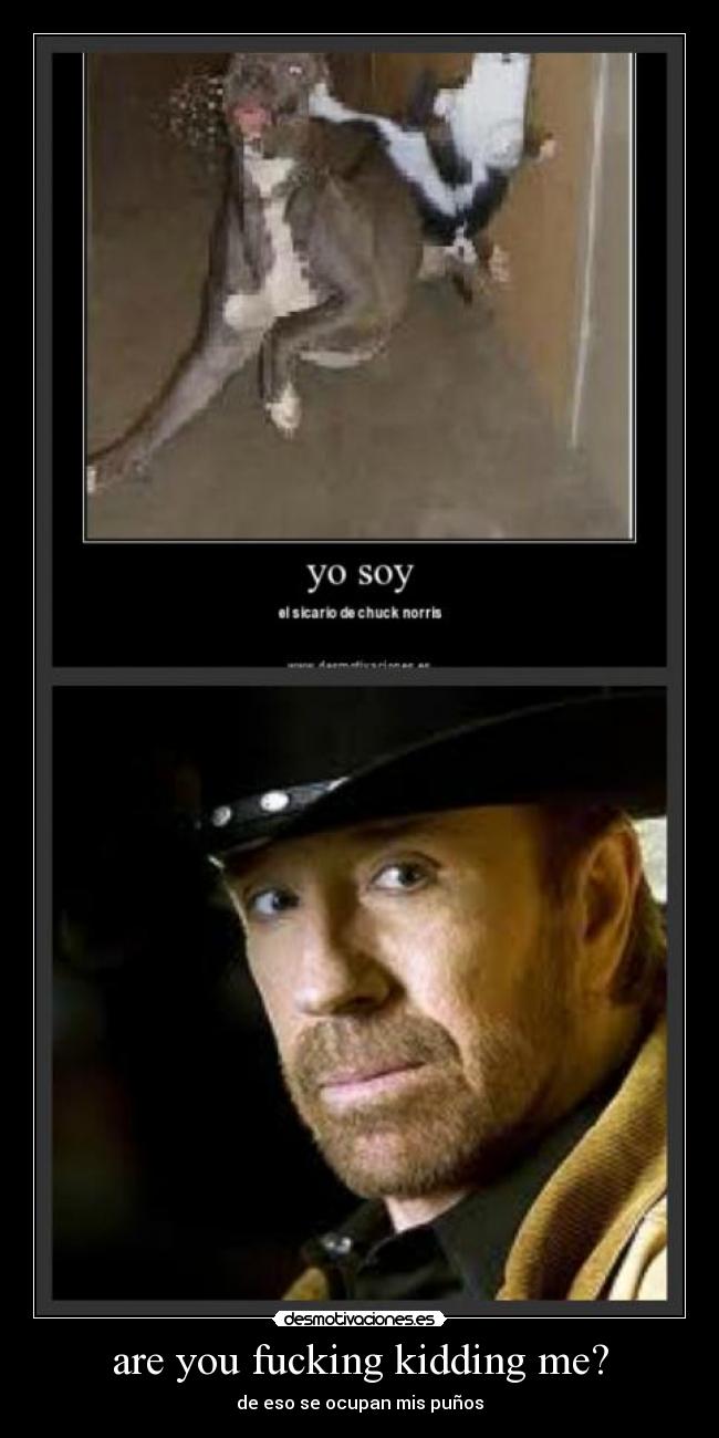 are you fucking kidding me? - de eso se ocupan mis puños