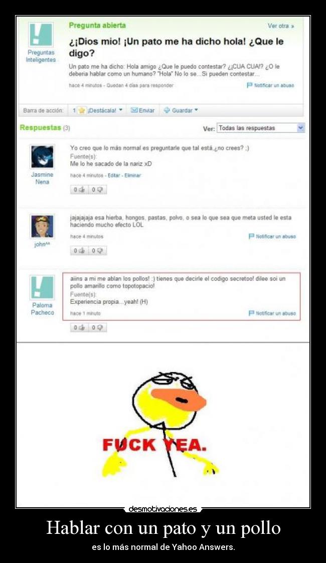 Hablar con un pato y un pollo - 