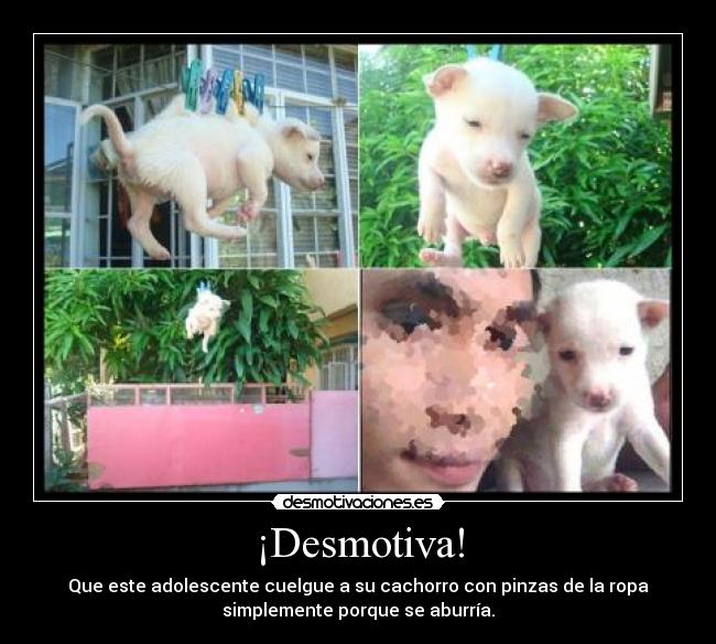 ¡Desmotiva! - Que este adolescente cuelgue a su cachorro con pinzas de la ropa
simplemente porque se aburría.
