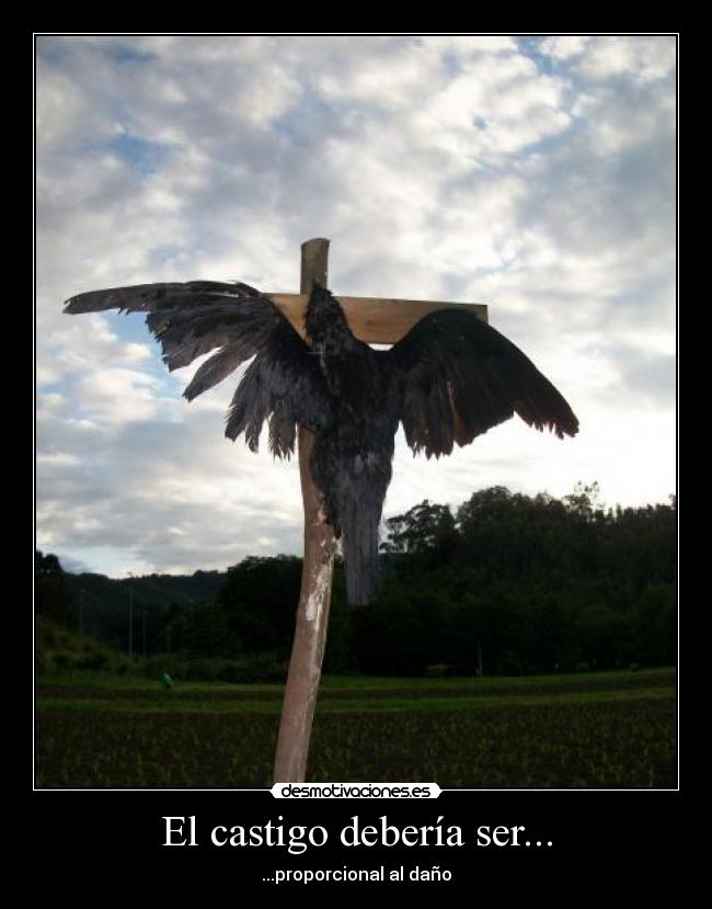 El castigo debería ser... -